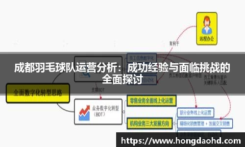 成都羽毛球队运营分析：成功经验与面临挑战的全面探讨