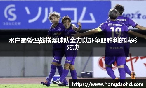 江南·综合体育